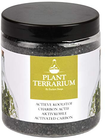 Fallen Fruits Plante Terrarium Charbon Actif 100g