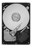Seagate - Barracuda LP ST31000520AS - Hard drive - 1 TB - internal - 3.5'' - SATA-300 - 5900 rpm - buffer: 32 MB