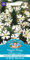 Mr Fothergill?s Seeds Ltd 16240 Night Phlox Midnight Candy, White, Sow: Mar to May