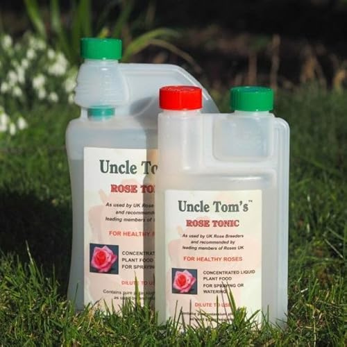 Peter Beales Uncle Tom's rose tonic 1 Litre. Looking for a natural way to promote strong, healthy growth in your roses? Look no further than Uncle Tom's Rose Tonic!
