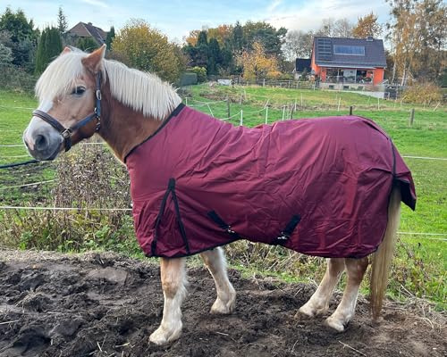 Brama-West Winterdecke Pferd Red Winter | Outdoordecke 1680D - 200g | wasserdichte Pferdedecke | Weinrot (165)