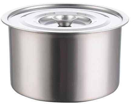 LVIFLOAE Set di pentole in acciaio inossidabile da 22 cm Pentola per pasta con doppio coperchio da 8,7 pollici Per preparare zuppe, cuocere la pasta e stufare verdure