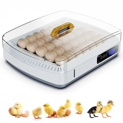 Egg Incubators for Hatching Eggs with Temperature & Humidity Control- 35 Eggs, Egg Incubator Automatic Turning, 360° View, Easy-to-Clean Roller Tray for Chicken Duck Quail Goose & Bird Eggs
