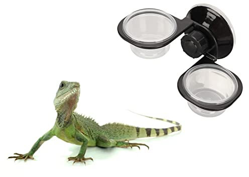 Reptilienfutter Wassernapf Crested Gecko Feeding Ledge Reptilienfutter und Wasserbecher für Kleine Haustiere (Doppelschüssel)