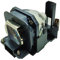 BORYLI Lampe mit Gehäuse für Projektoren PT-AX100, PT-AX100E, PT-AX100U, PT-AX200, PT-AX200E, PT-AX200U, TH-AX100 - 220 Watt, Weiß, 28600 Lumen, 120 Volt, 1 Stück