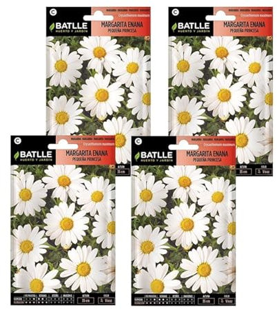 Semillas de margarita enana princesa de Semillas Batlle PACK (4)