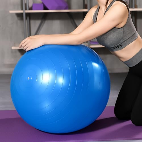 SJMR Swiss Gym Fitness Ball 65cm for Yoga, Pilates & Pregnancy – Anti-Burst Stability Ball with Quick Pump for Fitness, Core Training & Balance (Blue)