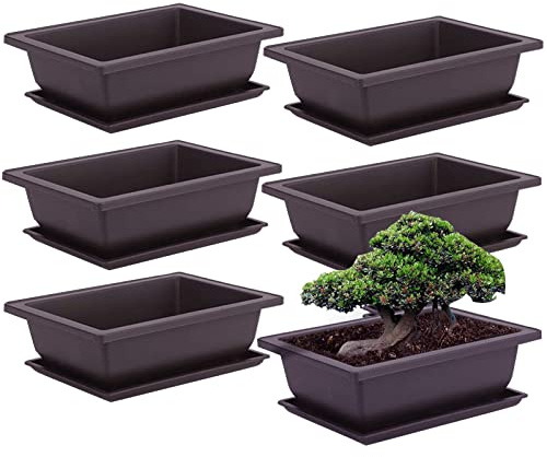 FXLTSBL 6 stycken bonsai träningskrukor med bricka rektangel blomkruka bonsai skål suckulent liten planteringskruka för trädgård vardagsrum och kontor (L)