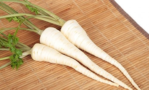 Perejil de raízBerlín - Semillas recubiertas para una siembra más fácil - semilla