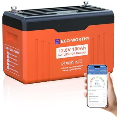 ECO-WORTHY LiFePO4 12 V 100 Ah med LED-skärm, litiumbatteri 12 V 100 Ah med BMS lågtemperaturskydd och max. 15 000 cykler, 1 280 Wh LiFePO4 12 V för husbil, solpanel
