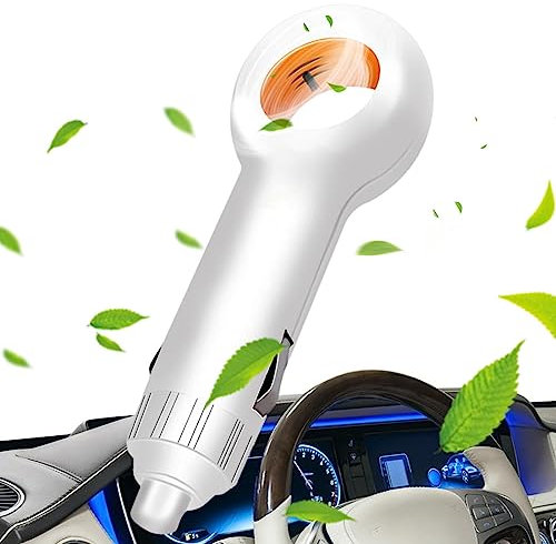 EviKoo Aire Ionizador, Purificador Aire Coche Iones Negativos, El pequeño purificador Iones Limpia y Elimina el Sistema filtración Iones Negativos Aire para