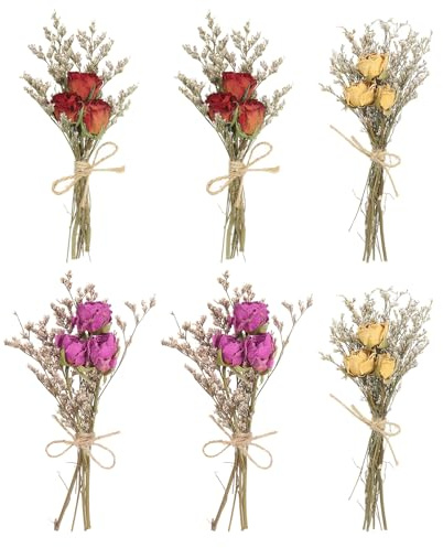 PATIKIL Mini torkade blommor, 6 st rosa naturlig blomma stjälk dekoration Gisofila Boho blomväxt för gör-det-själv-hantverk fototillbehör, röd/rosa/gul/röd