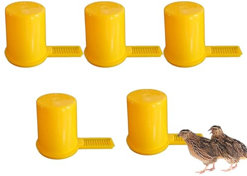 Sionhiuo Distributore di cibo per uso esterno, dispenser automatico di acqua da 500 ml e fontana, abbeveratoio per uccelli all'aperto, in cortile, giardino e cortile in casa