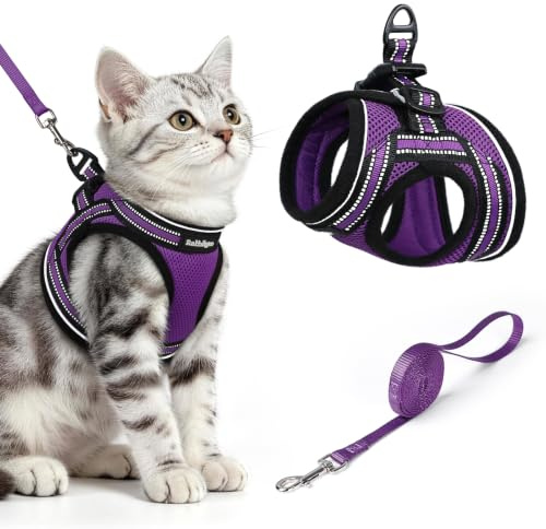 rabbitgoo Cat Harness and Leash Set for Walking Escape Proof, Adjustable Soft Kittens Vest with Reflective Strip for Cats, Comfortable Outdoor Vest, Purple, M