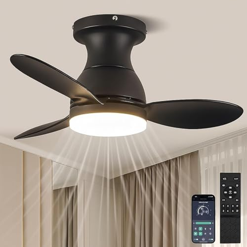 LEONTYNE 58 cm Small Ceiling Fan with Light, Large Airflow Ultra Quiet Dimmable LED, App & Remote Control,6 Speed Reversible DC Motor, Low Profile Fan Light Ceiling for Bedroom Living Room Kitchen