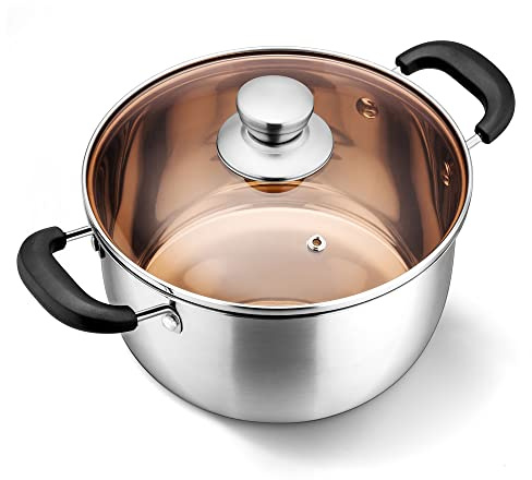 LIANYU 6QT Stock Pot with Lid, Stainless Steel Soup Pasta Pot for Home Kitchen Restaurant, Stockpot for Strew Simmer Boiling, Heat-proof Handle, Dishwasher Safe