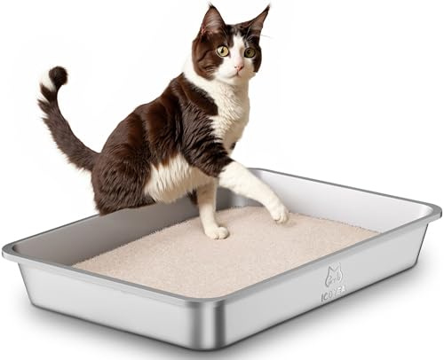Arenero Gato Acero Inoxidable, Caja de Arena Grande para Gatos, Gatitos y Conejos, Arenero Alto XXL para Gatos, Antiadherente, sin olores y fácil de Limpiar, 60 x 40 x 10cm