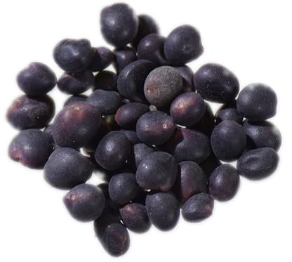 Trèfle Souterrain - Trifolium Subterraneum L. (Engrais Vert) SEM05 (3 grammes)