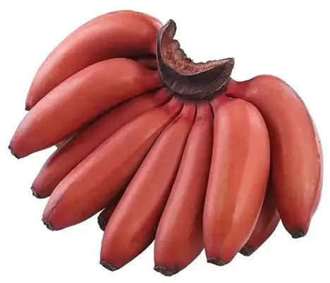 Semi di banana gigante 90 pezzi per piantagione rossa