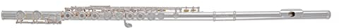 Roy Benson Querflöte FL-602RI (Neusilber-Versilberte Konstruktion, Spitzdeckel-Design, PISONI-Polster, Premium Flöte, für professionelle Klangqualität, inkl. Pflegezubehör und Luxus-Holzetui)