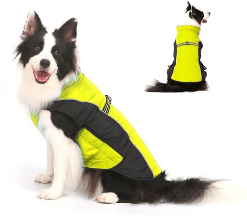 Cappotto per Cani Giacca Calda, Giacca Riflettente per Cani Abbigliamento Invernale Impermeabile per Caldo Gilet Antivento per Animali Domestici Costume per Canis di Piccola Taglia Media