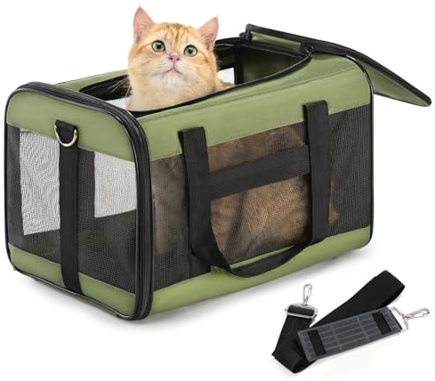 Conlun Gatti Box adatto per aeroplano, trasportino per cani con guinzaglio interno, trasporto per gatti e cuccioli di piccole e medie dimensioni fino a 7 kg, borsa da viaggio pieghevole – verde, M