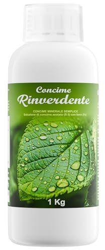 Concime Liquido 1000ml Organico Rinverdente - Per tappeti erbosi verdi e nutriti - Contro ingiallimenti del manto - Effetto Rivitalizzante per il prato - Tappo dosatore - Prodotto in Italia - Illica