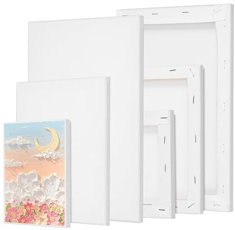 Hejo 6 Stück Leinwand zum Bemalen, Keilrahmen Malen Canvas Acryl, Leinwand Set 20x30,20x15,15x10 cm, Aquarell, Ölfarbe Multisizes für Künstler, Amateure, Anfänger und Kinder