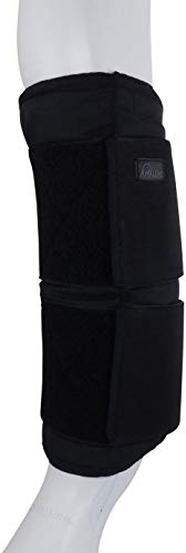 APPALERO Kühlgamaschen, 2 Stück – Ice Boots mit Gel-Pads, isolierte Außenseite, schnelle Regeneration nach Training, Pferd