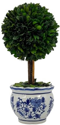 Galt International Naturally Preserved Boxwood Ball Topiary Tree in Round Hand Painted Blue & White Ceramic Pot Planter - European Rococo Home Decor Classic Chinoiserie Small 11 Tall Topiary