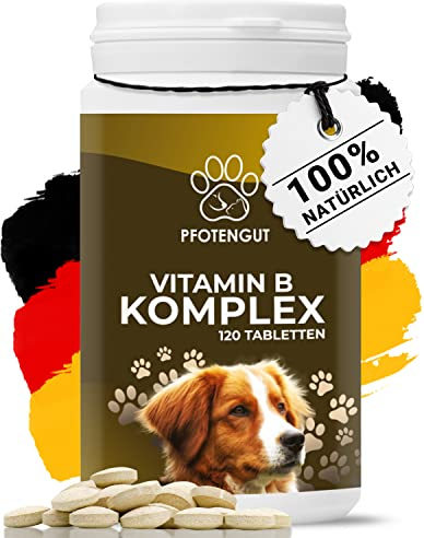 PFOTENGUT® Vitamina B Complesso Cane [Made in Germany] – 120 compresse per 4 mesi – Vitamine B ad alto dosaggio per cani e gatti con B1, B2, B3, B5, B6, B7, B9 & B12 – Vitamina B per cani