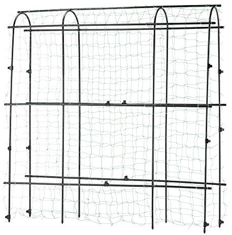 Garden Gear 1.8 x 1.8m Pea & Bean Tunnel Four Arches with Mesh Netting Included, Protection for Crops & Plants