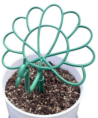 Tktouci Soportes para Fresas De Jardín - Estructura De Cultivo para Fresas - Diseño Pájaro Tutores para Plantas En Exterior Terraza Jardín Balcón