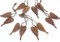 LB H&F 6er Set Rost Dekohänger Anhänger Hängedeko Dekoration (6er Set Engelsflügel)