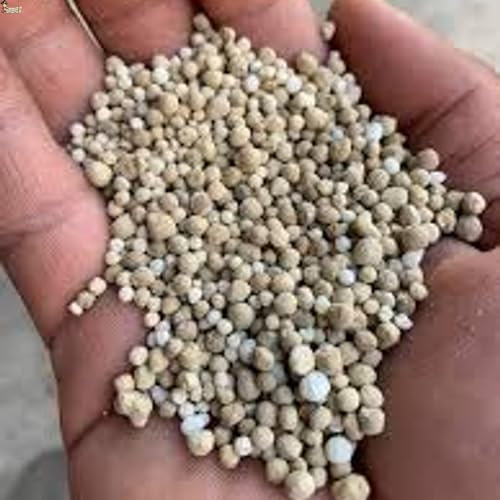 BricoLoco.com Abono complejo NPK 15-15-15. 5 Kgs. Fertilizante triple 15 granulado. Para plantas de huerto y jardín, árboles, etc. 15% nitrógeno 15% fósforo 15% potasio (5, Kilogramos)