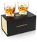KANARS Verre à Whisky, Verres a Whiskey en Cristal pour Scotch, Whisky, Martini, Cognac, 300 ml, Lot de 2 Pièces, Belle Boîte Cadeau