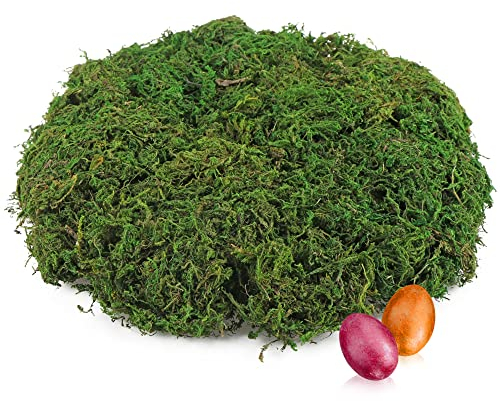 com-four® 200g grünes DIY Bastel-Moos für Osterkörbchen - echtes Deko-Moos zum Basteln und Dekorieren von Osternestern (Set2 - Dekomoos - 200g)