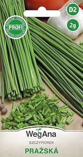 WegAna Ciboulette Prazska Graines 2g (Environ 800 graines) Graines de légumes robustes, graines de légumes, graines de culture, graines pour la serre