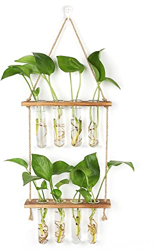 Hyindoor Station de Propagation avec Support en Bois Vase Mural avec 8 Tubes à Essai en Verre Suspendu pour Plantes Hydroponiques pour La Décoration de Bureau à La Maison
