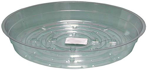 Hydrofarm HGS12 Clear 12-Inch, Pack of 10 Saucers