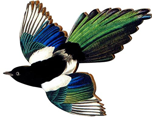 Broche en bois en forme d'oiseau amusant avec fermoir pour écharpe, châle - Pour femme - Cadeau idéal - D4J5, A-1PCS