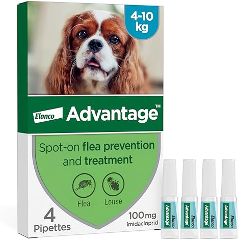 Advantage Spot On Flea Treatment For Medium Dogs 4 - 10 kg (4 pipettes, 100mg), Kills Fleas Within 24 Hours, Prevents Further Infestation For Up To Four Weeks