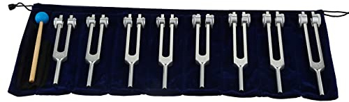 Chakra Tuning Forks Set, 7 Chakra and 1 Soul Purpose Weighted Tuning Forks with Silicone Hammer, Bag, Cleaning Cloth for Healing, Sound Therapy, Musical Instrument, Balancing, Vibration (Silver)