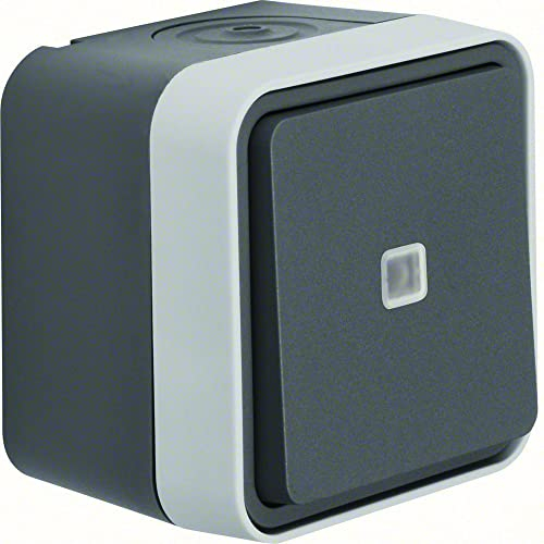 Berker AP-Kontrollwechselschalter 31763505 lichtgrau, N.a