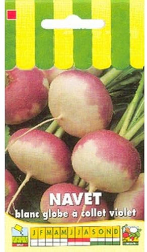 Sachet de graines de Navet blanc globe à collet violet - 5 g - légume racine - LES GRAINES BOCQUET