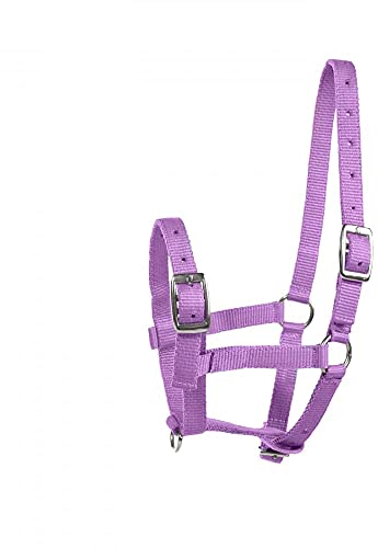 Horze Foal Halter, Purple, foal