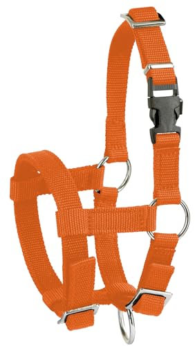 Kerbl Alpaka-Halfter, verstellbar – Orange (Abmessung 17 x 18 x 4,5 cm, Gewicht 0,1 kg, Material 20 mm Polypropylen) 27190
