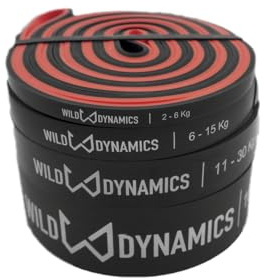Bandas Elásticas de Resistencia Wild Dynamics | Set de 4 Bandas Fitness de Látex Natural | 4 Niveles de Resistencia para Musculación, Calistenia, Yoga, Pilates y Fisioterapia