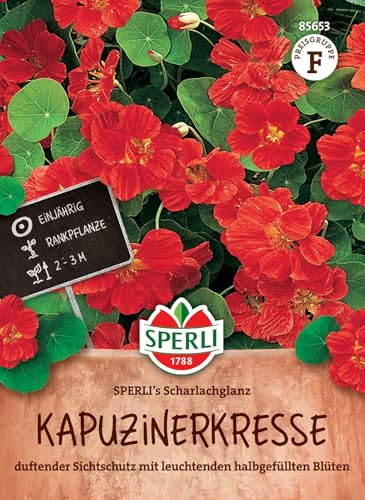 Sperli Kapuzinerkressesamen SPERLI's Scharlachglanz 85653, Blumensaat