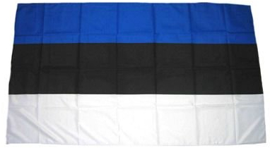 FahnenMax Fahne Stockflagge Estland NEU 30 x 45 cm Flagge